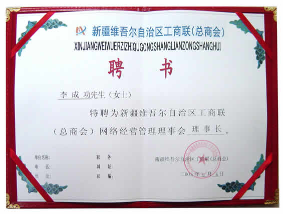 李成功先生特聘為新疆維吾爾自治區(qū)工商聯(lián)(總商會(huì))網(wǎng)絡(luò)經(jīng)營(yíng)管理理事會(huì)理事長(zhǎng)