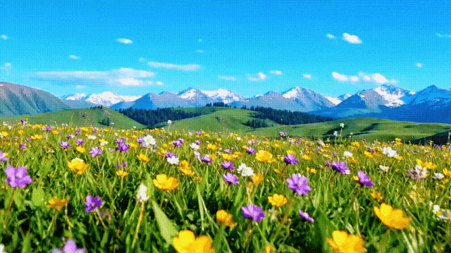 d0c2f971ecb48ca79993454146172c42.gif