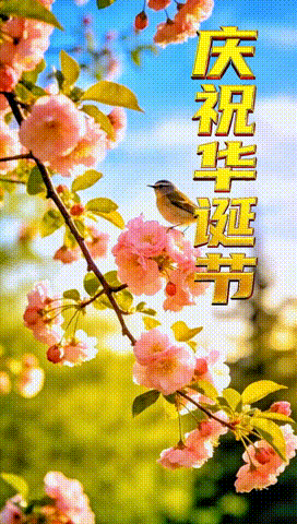 068bacfcea6d544b62911a1d5f39245e.gif